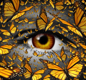 Communication freedom business and lifestyle concept with a close up of human eye and a group of monarch butterflies flying as a creative metaphor for the liberty of imagination expression and innovative vision.