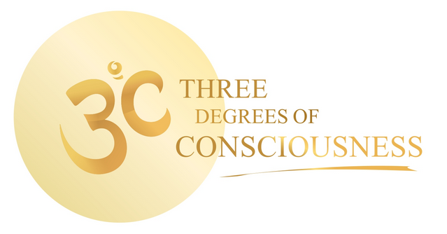 3 Degrees of Consciousness